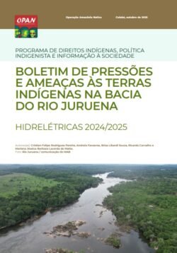 Boletim de Pressões e Ameaças às Terras Indígenas na Bacia do Rio Juruena